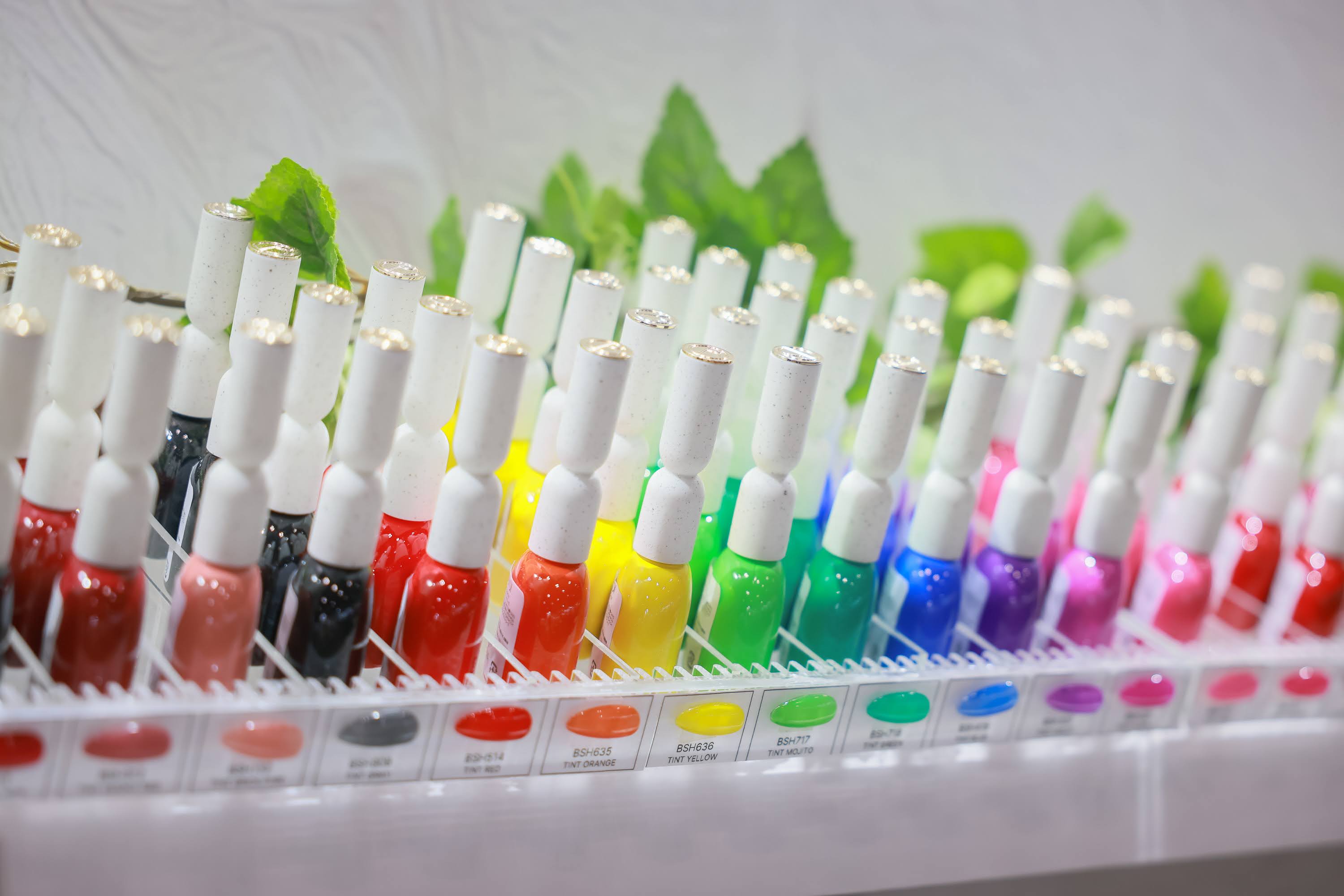 BWT_2025_merchandise104